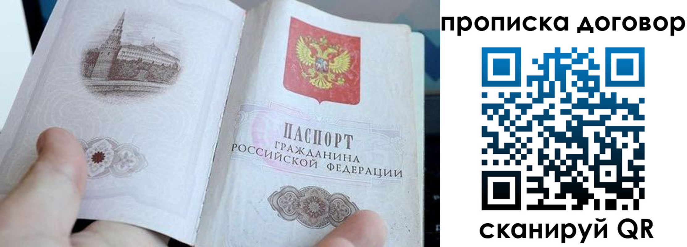 прописка в Дорогобуже